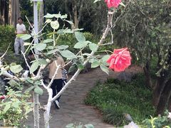 -东莞植物园