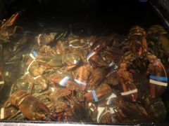 -RED LOBSTER(中城西店)