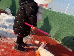 -绿野森林乐园冰雪季