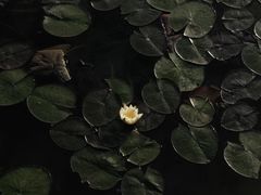 -宁波杭州湾国家湿地公园