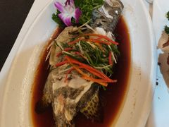 -小贝壳酒楼(经九路店)