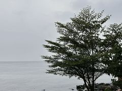 -福田红树林生态公园