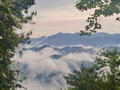 -石台牯牛降景区