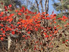 -九如山休闲旅游度假区