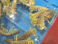 -吴记富苑(朝阳店)