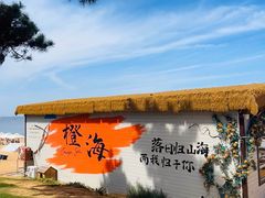 -合肥滨湖国家森林公园