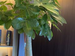 -鹿栖.精油SPA(金山世纪城店)