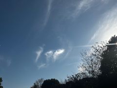 -梁鸿国家湿地公园