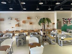 -藏猫猫咖啡主题馆(中央大道店)