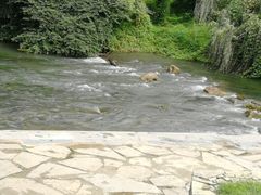 -贵阳市花溪国家城市湿地公园