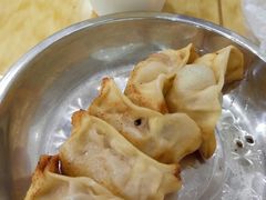 向群锅饺-向群锅饺(登高路店)