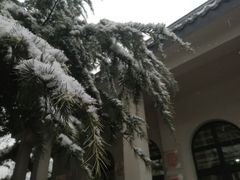 -西安市纺织公园