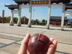 -飞来湖湿地公园