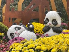 -南山植物园