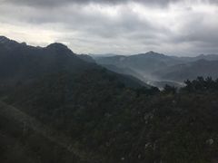 -王莽岭风景区