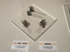 -巴音郭楞蒙古自治州博物馆