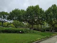 -上海第二工业大学(金海路校区)