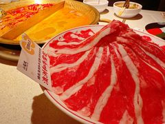 -小龙坎火锅(全球旗舰店)