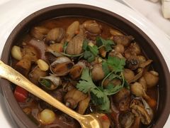 -白金汉爵大酒店·中餐厅(相城店)