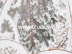 -瓦屋山景区
