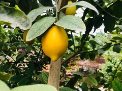 -南通洲际绿博园