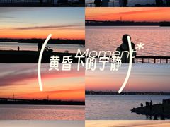 -丁香湖公园