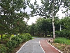 -绿堤公园