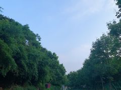 -无锡动物园·太湖欢乐园