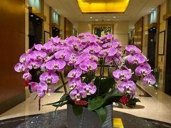 -惠州康帝国际酒店