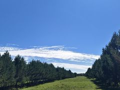 -御道口草原森林风景区