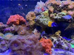 -Zoolung Zoolung动物主题公园(海信广场店)