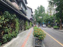 -泡桐树街