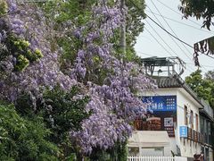 -三圣花乡旅游区