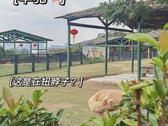 -无锡动物园·太湖欢乐园