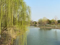 -梁鸿国家湿地公园