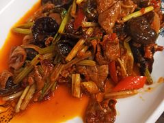 泡椒仔姜鲜牛肝-伊兰麒兰馨园·川菜·清真馆(339电视塔店)