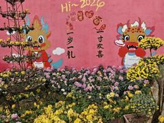 -南山植物园