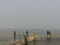 景点-南沙蒲洲花园