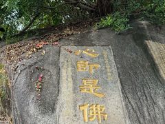 -南普陀寺