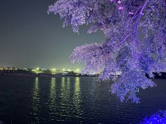 -厦门园林博览苑