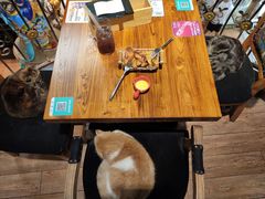 -more than meow吴止猫主题餐厅(承德 中船汇店)