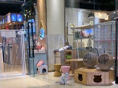 -藏猫猫咖啡主题馆(中央大道店)