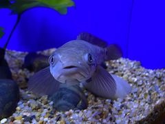 -上海海洋水族馆