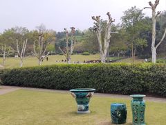-重庆园博园