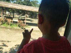 -西安秦岭野生动物园