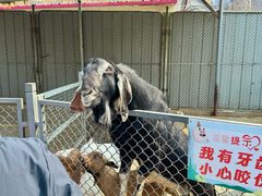 -保定市动物园
