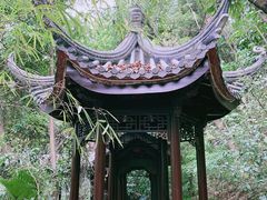 -深圳国际园林花卉博览园