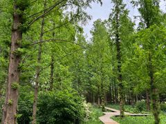 -国家植物园南园