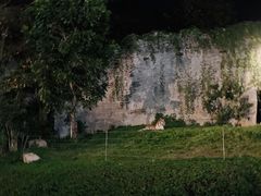 -清迈夜间动物园