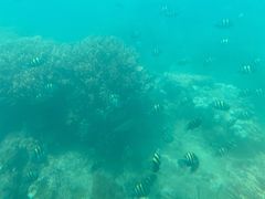 -亚龙湾海底世界